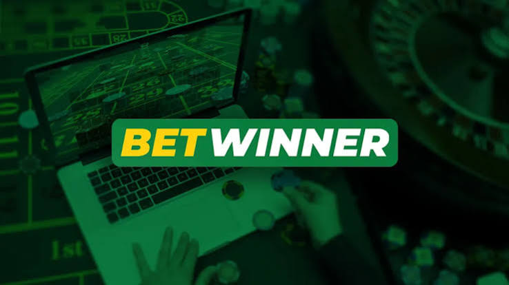 BetWinner Bookmaker Your Gateway to Online Betting Success
