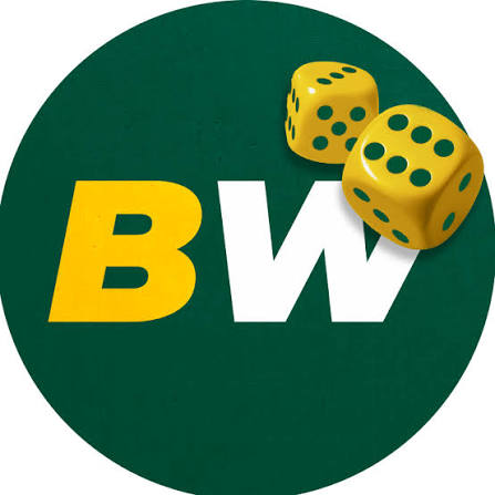 BetWinner Bookmaker Your Gateway to Online Betting Success
