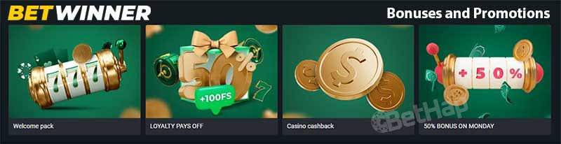 BetWinner Bookmaker Your Gateway to Online Betting Success